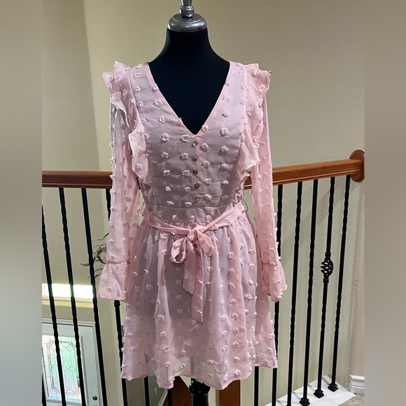 Woven Pink SWISS DOT, V NECK RUFFLE TRIM LONG SLEEVE FEMININE MINI DRESS SIZE M - Picture 1 of 13